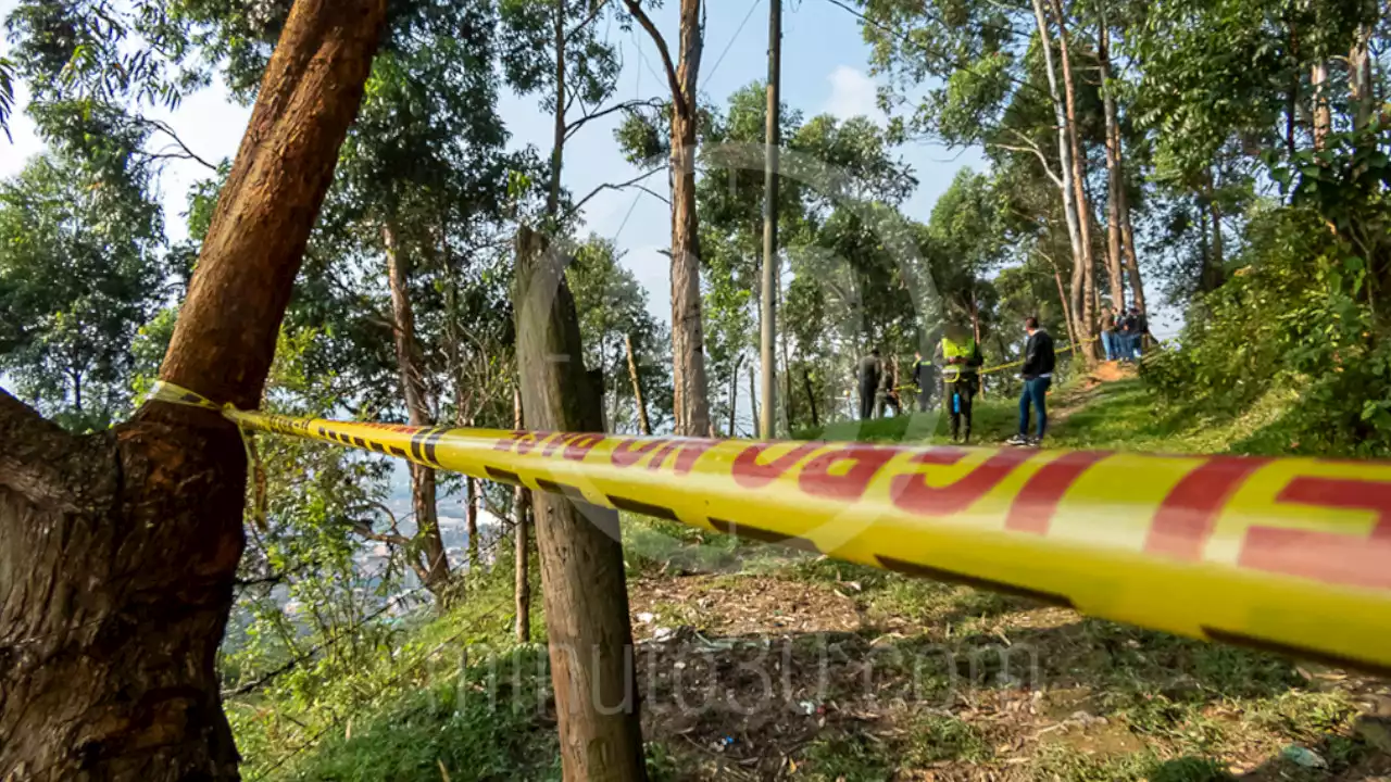 [VIDEO] Murió el turista sueco que ladrones golpearon para robarle en Medellín