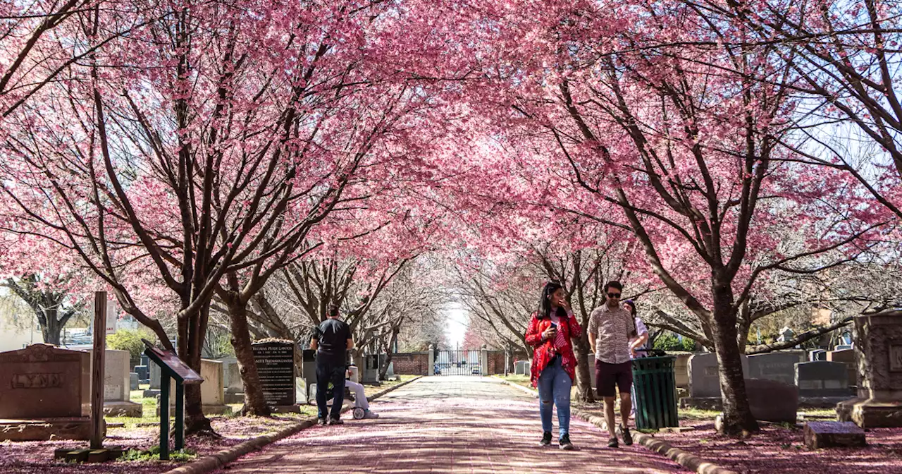 Snow in Los Angeles and record heat in Atlanta: A wild winter comes to an end