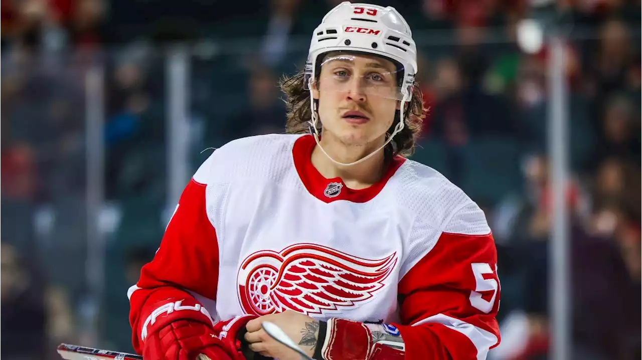 Bruins Trade for Tyler Bertuzzi From Red Wings, Give Up 2024 First-Round Pick