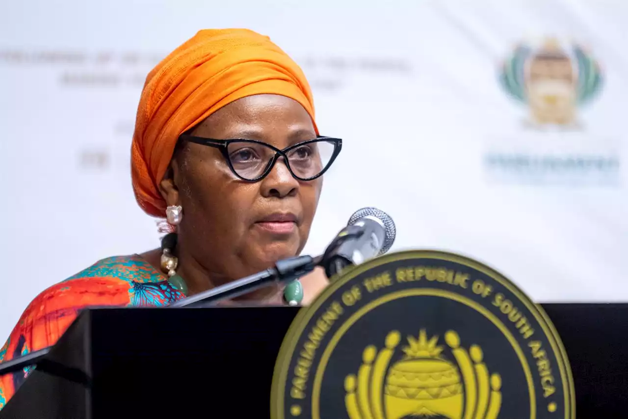 Mapisa-Nqakula rejects EFF's request to reinvestigate Ramaphosa's Phala Phala 'crimes' | News24