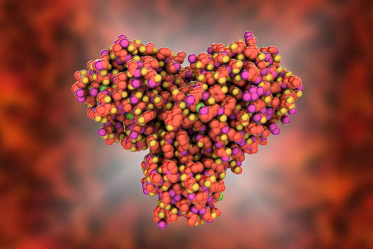 New cell-based assay shown to rapidly profile drug resistance to three widely used SARS-CoV-2 main protease inhibiting drugs