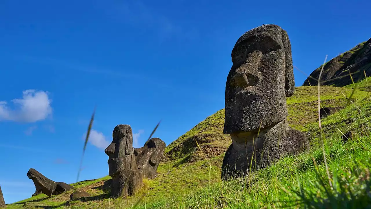 Geheimnisvolle Moai-Statue auf Osterinsel gefunden