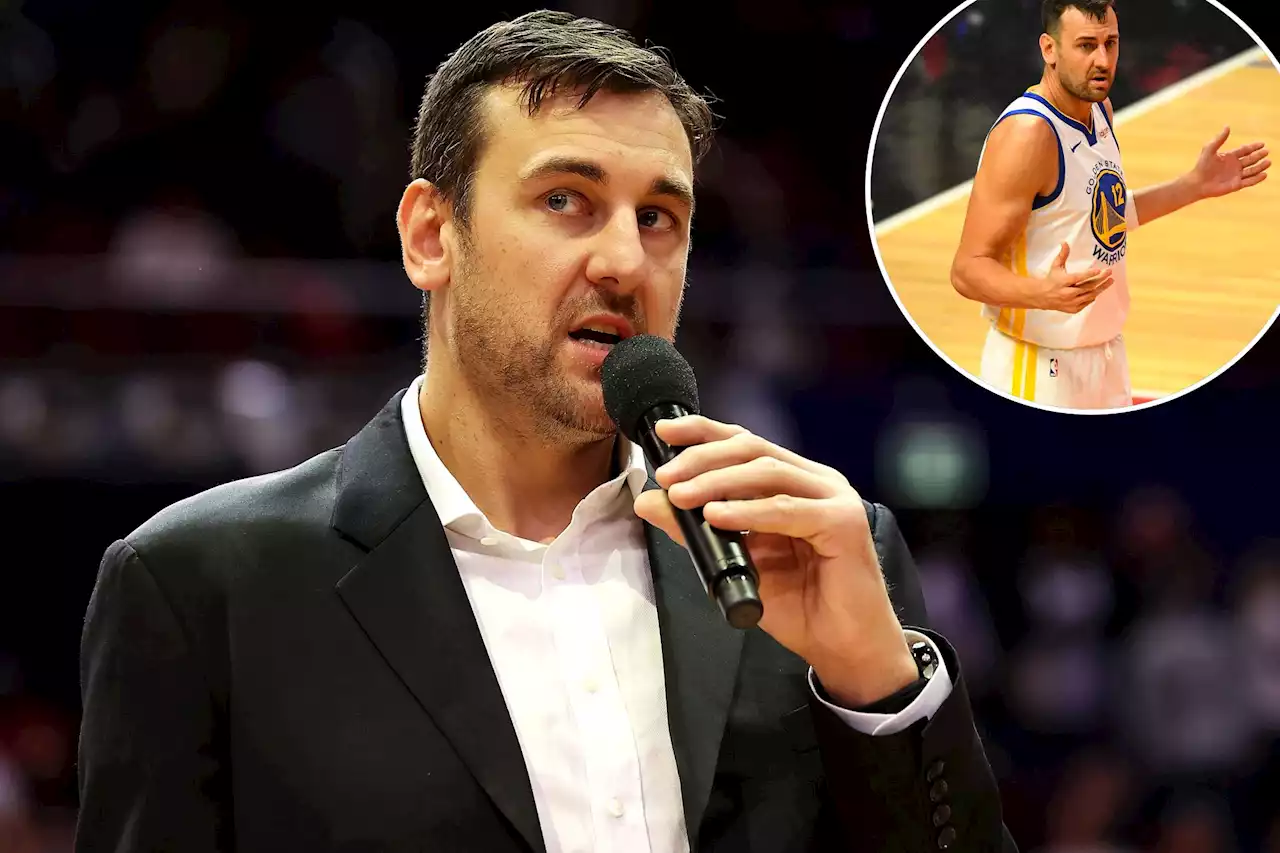 Andrew Bogut loses it over gender question on 6-year-old’s soccer form