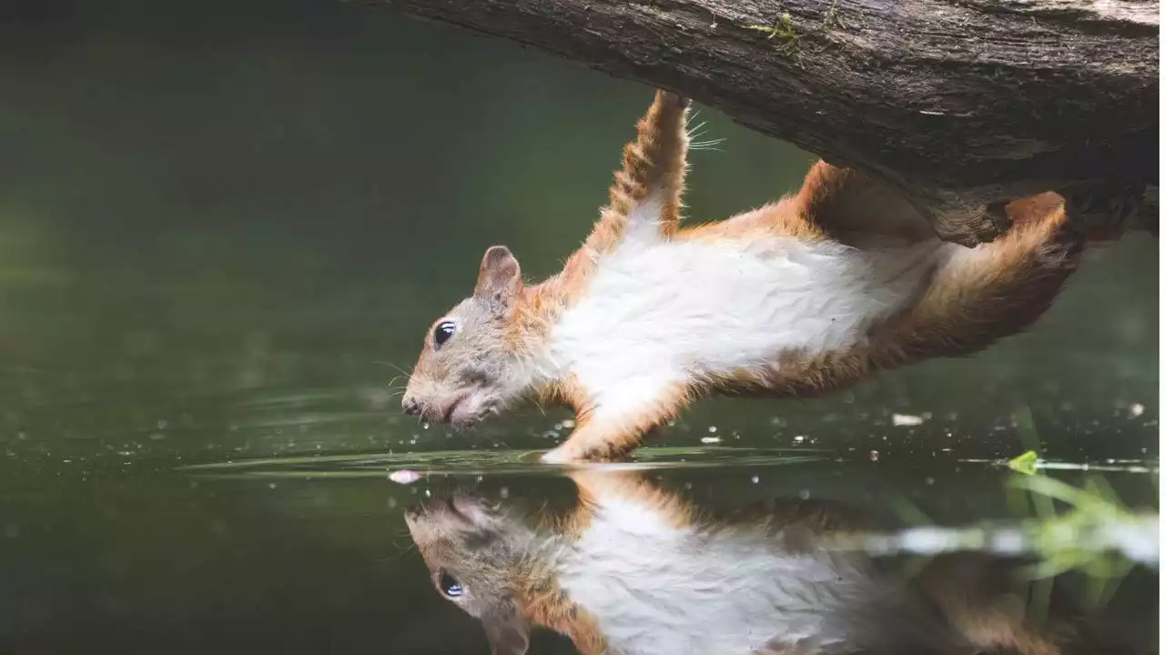 Deze natuurgebieden zorgen ervoor dat Brabant geen vergunning meer uitgeeft