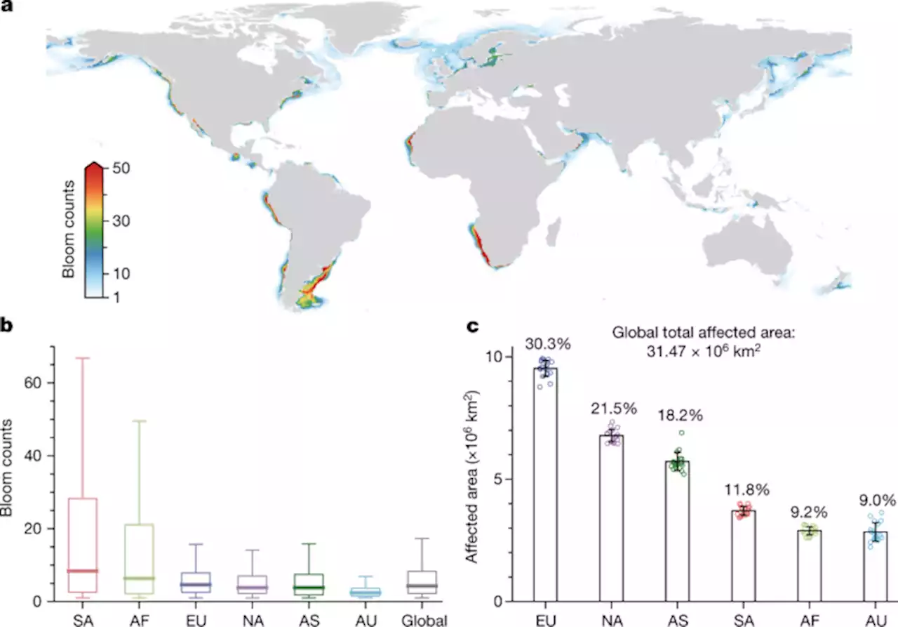 Coastal phytoplankton blooms expand and intensify in the 21st century - Nature