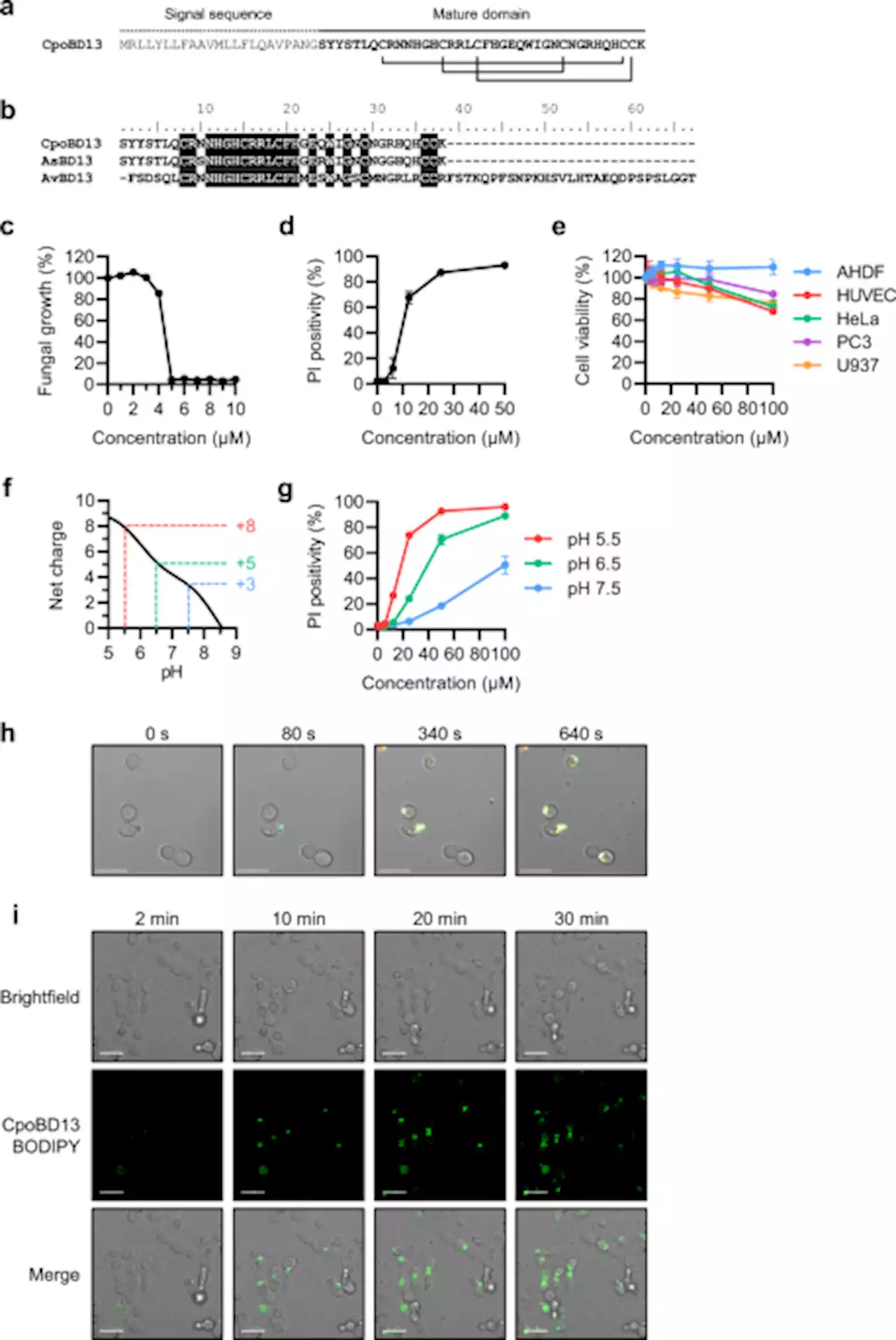 Crocodile defensin (CpoBD13) antifungal activity via pH-dependent phospholipid targeting and membrane disruption - Nature Communications