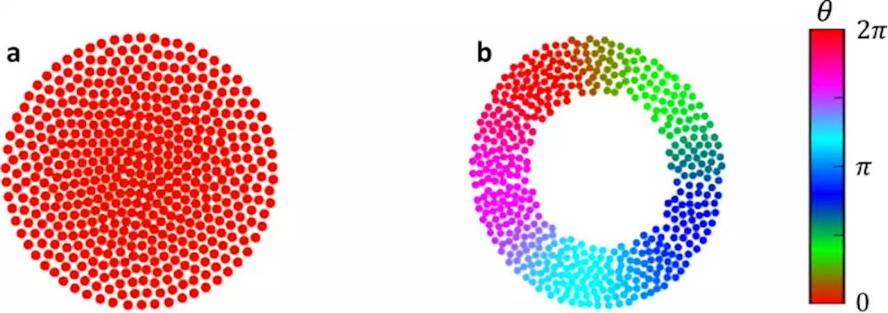 Diverse behaviors in non-uniform chiral and non-chiral swarmalators - Nature Communications