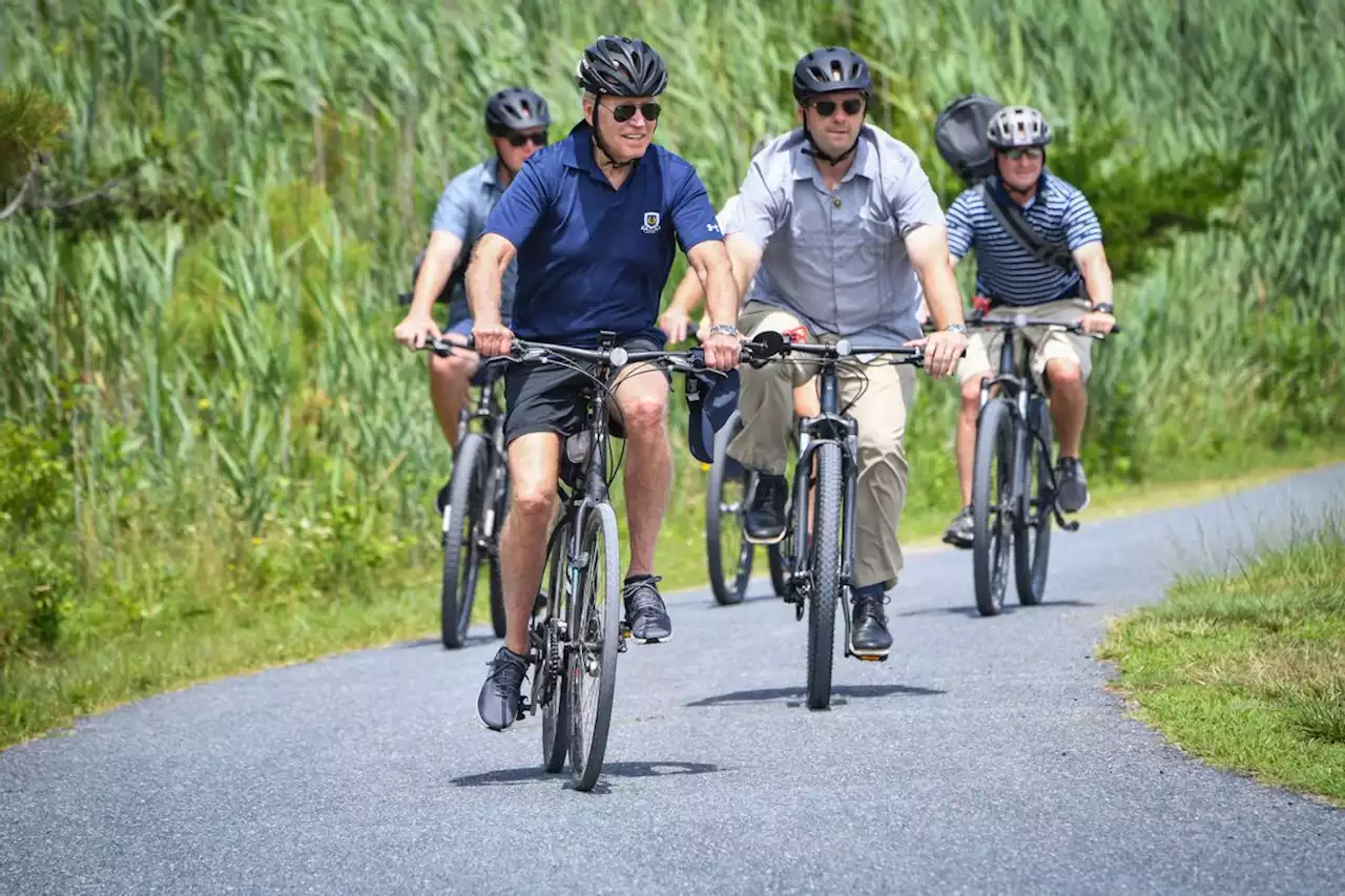 'Brandon Falls' Added to Google Maps to Mock Biden's Bike Fall