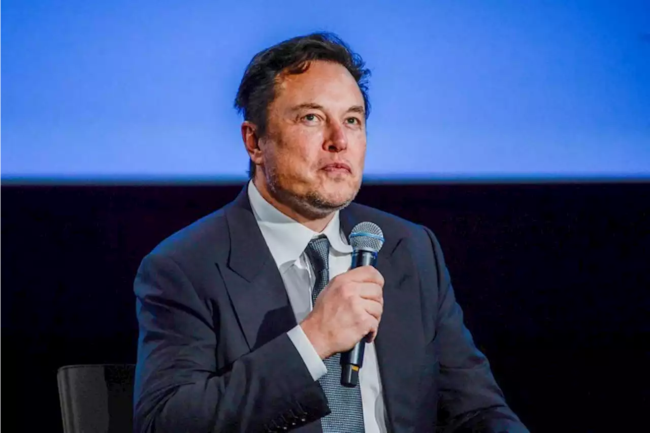 Musk: 'AI stresses me out'