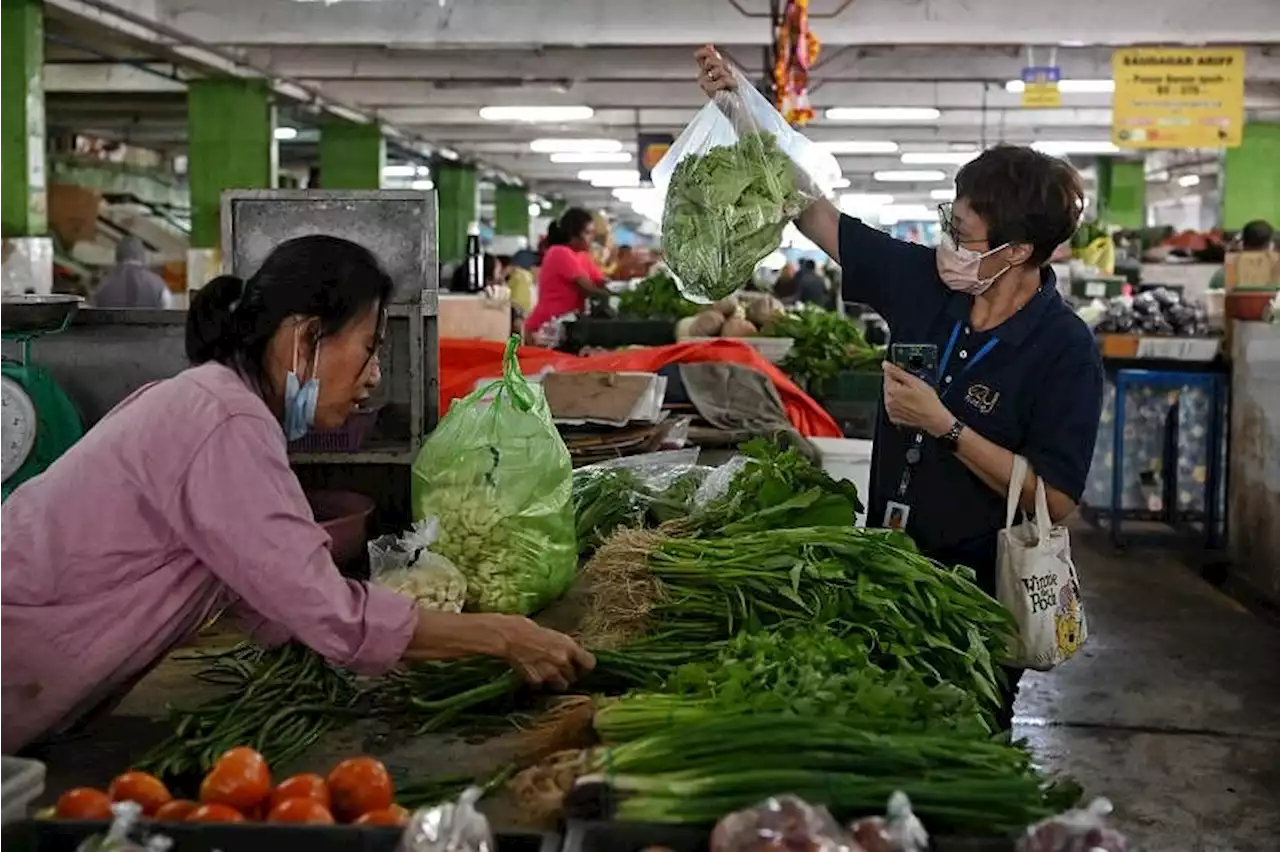 Vegetable prices in Malaysia set to soar again due to wet weather