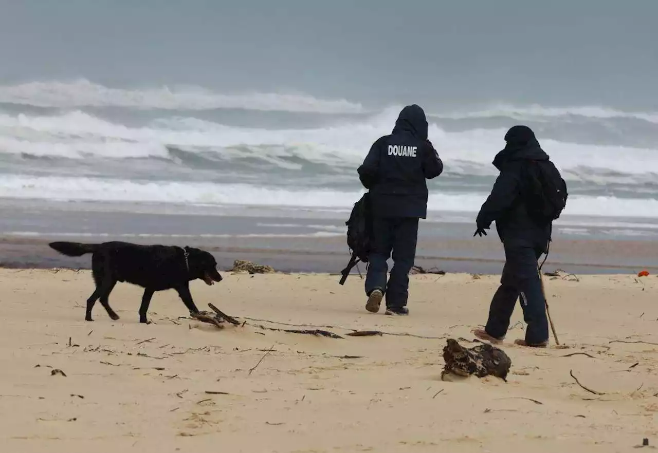 Cocaïne échouée sur des plages de la Manche : encore 1,5 tonne retrouvée mercredi