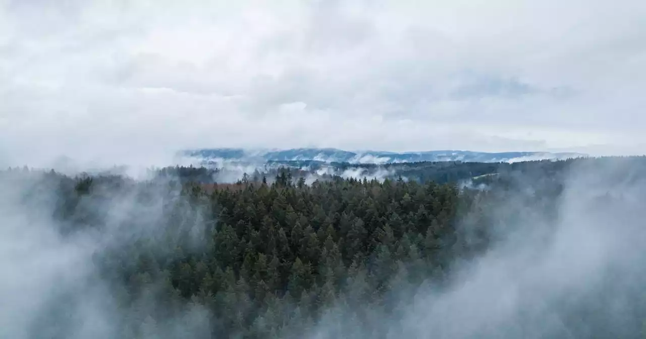 Sonniger Donnerstag: So wird das Wetter am Wochenende im Saarland