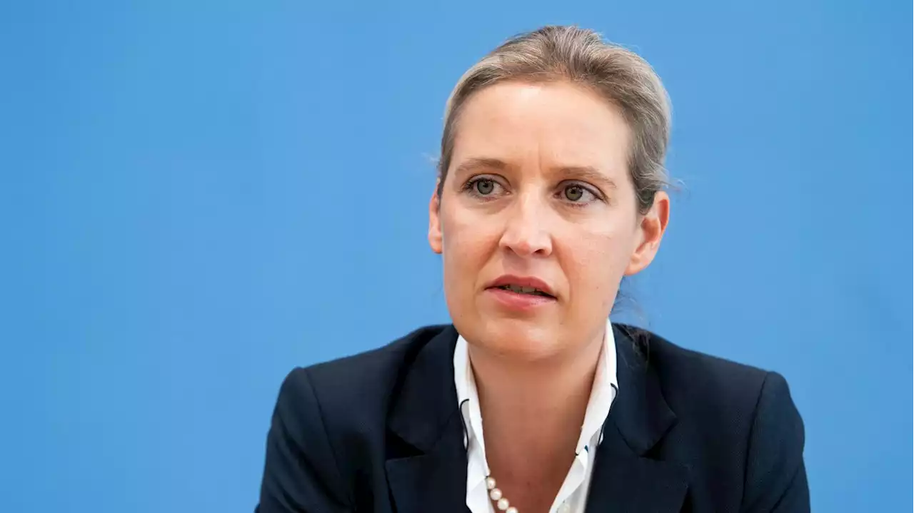 Spende an Weidel: Gericht bestätigt Strafzahlung der AfD