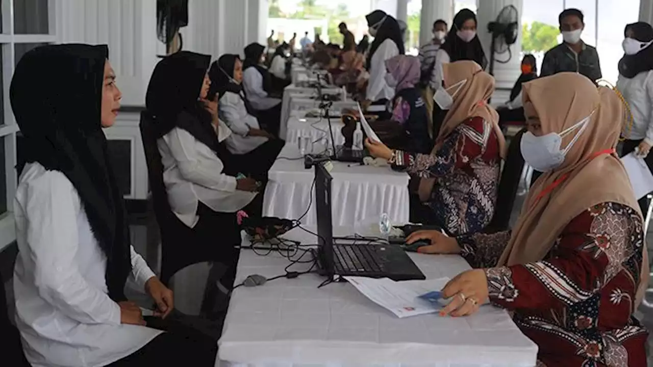 Mulai Gaji sampai Tunjangan, Inilah Perbedaan PPPK dan PNS