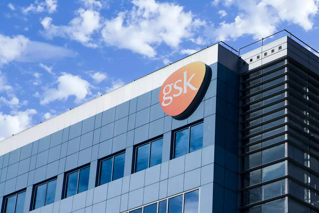 FDA Panel Backs GSK’s RSV Vaccine for Older People