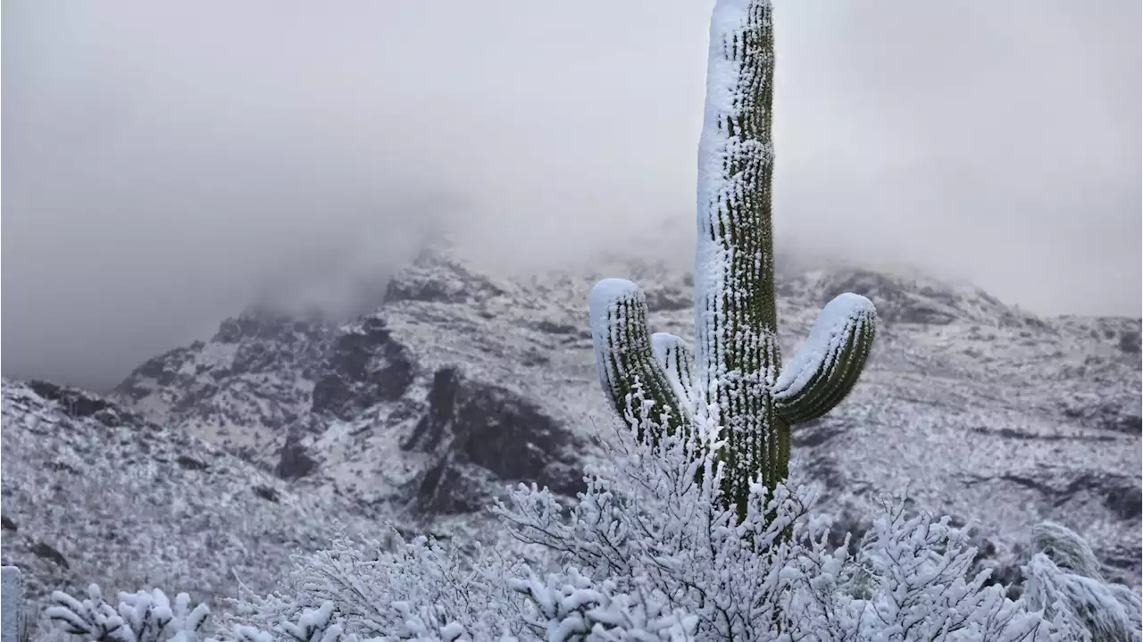 Photos and videos of snow around Tucson