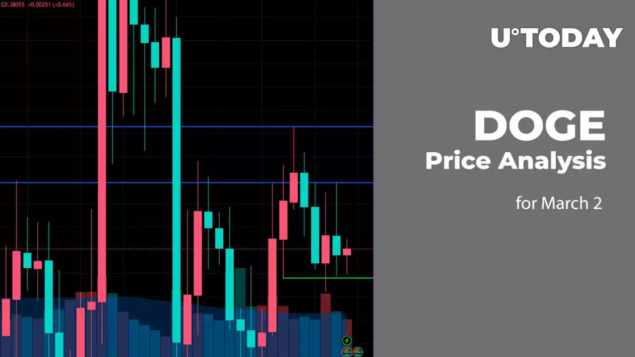 DOGE Price Analysis for March 2