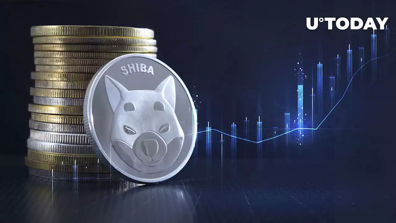 Number of Shiba Inu (SHIB) Holders in Profit up 300% Since Start of Year: IntoTheBlock