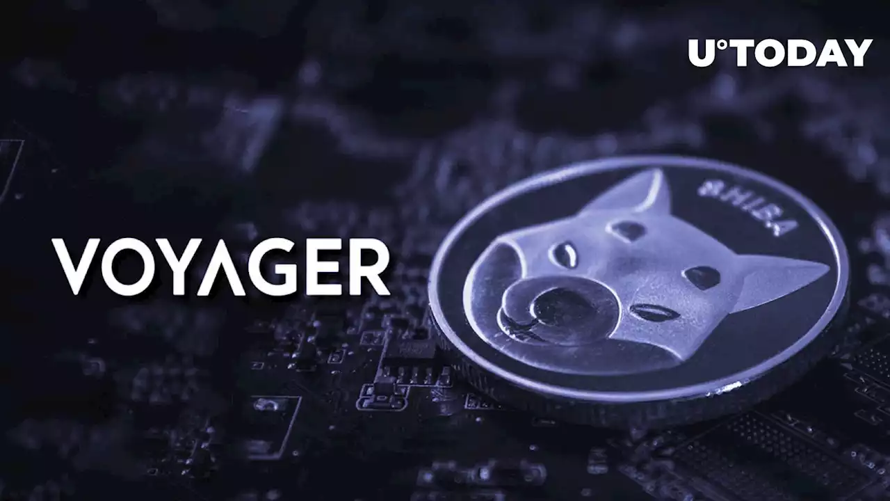 Shiba Inu: Dormant Address Sends Billions of SHIB Tokens to Bankrupt Crypto Broker Voyager