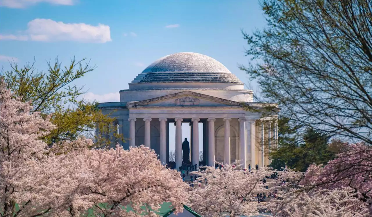 Officials predict peak bloom for cherry blossoms in D.C. but warn of weather swings