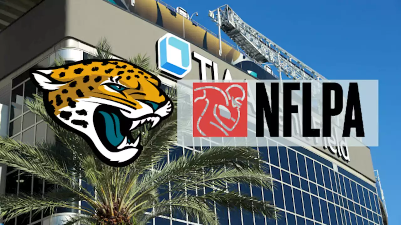 ‘Get rid of the rats’: Jaguars score low in first-ever NFL Players Association team report cards