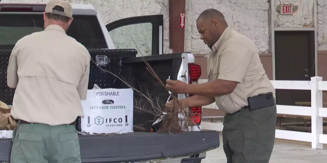 Alabama Forestry Commission gives away nearly 900 trees in Geneva County