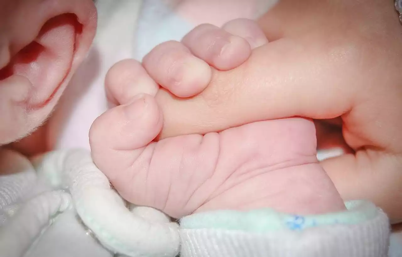 Un bébé de trois mois retrouvé mort à Stains, sa mère hospitalisée d’office