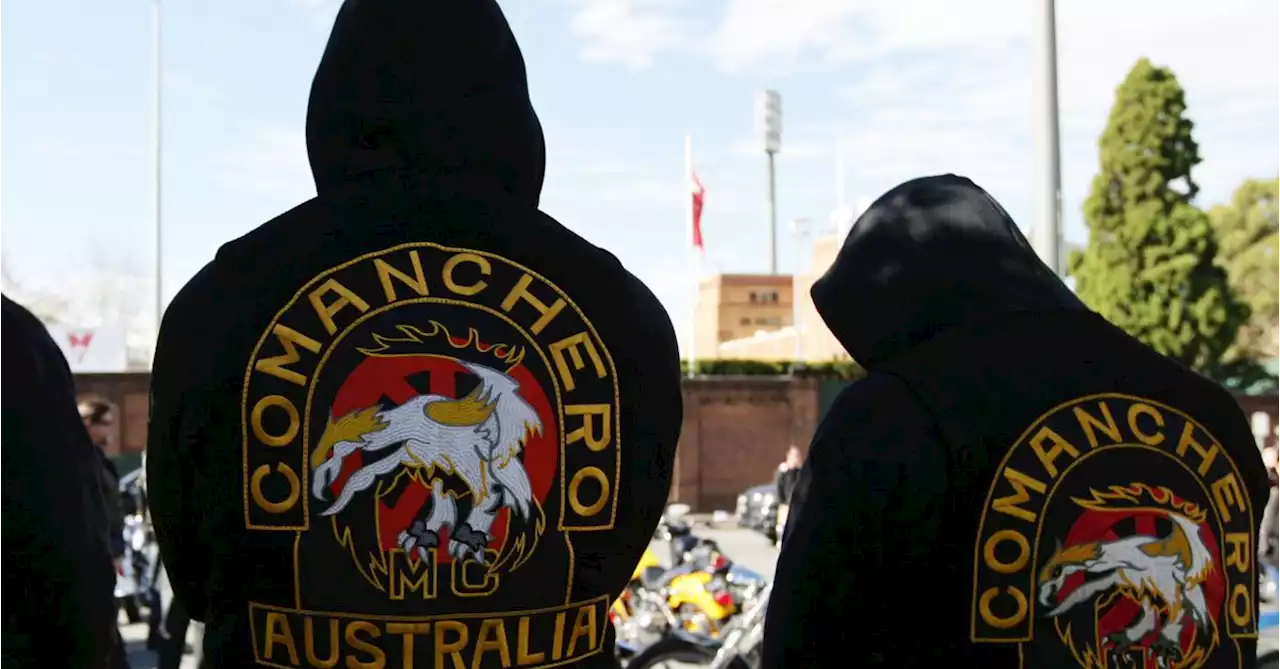 Why NSW bikie numbers have been 'decimated' over past few years