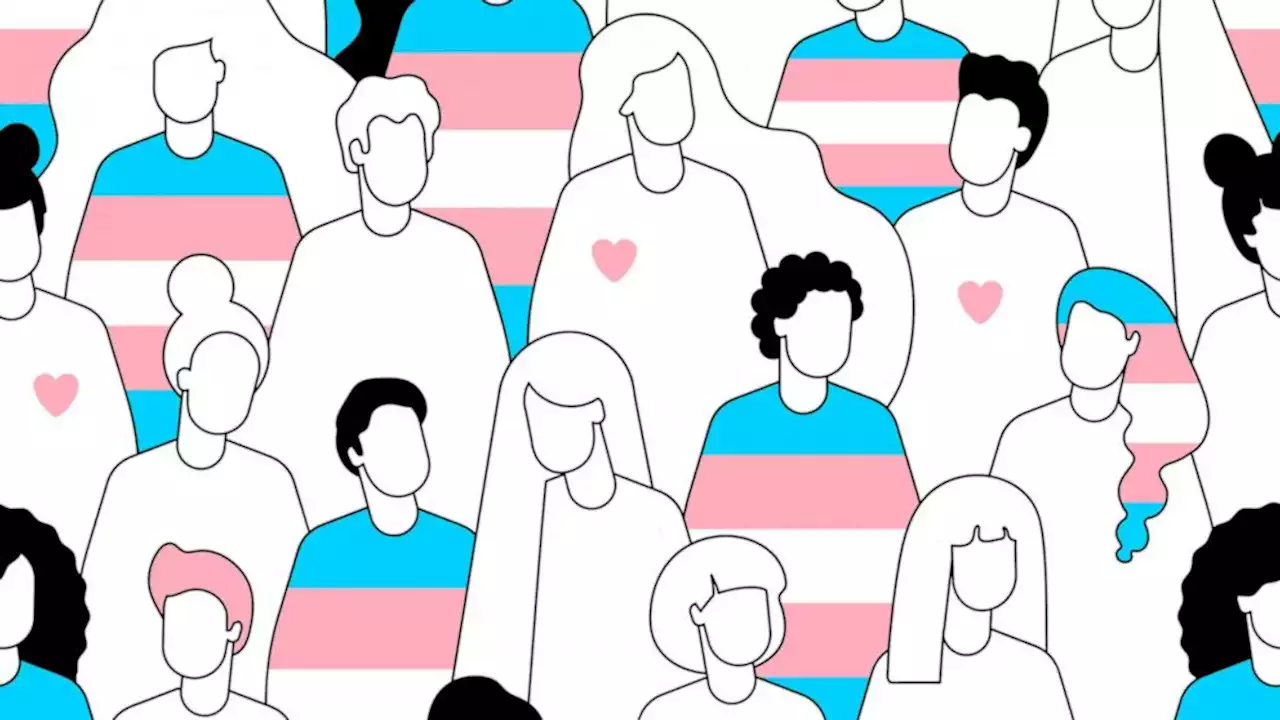 What is gender dysphoria and what does transgender youth care consist of?