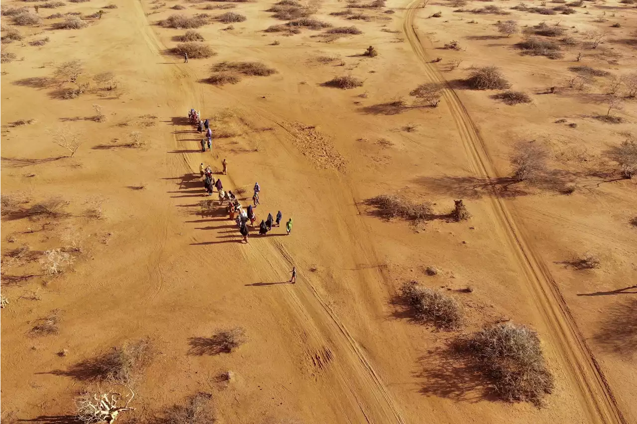 Report: 43,000 estimated dead in Somalia drought last year