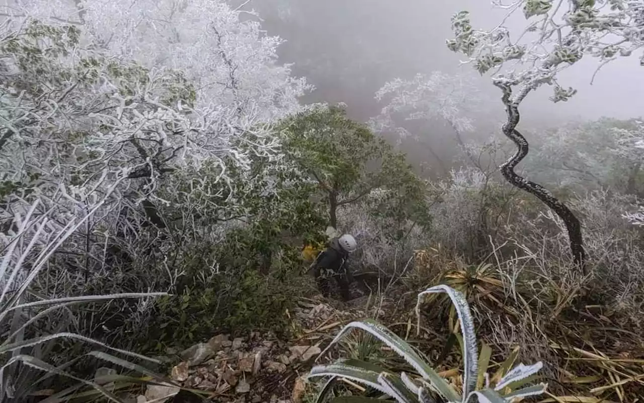 Cae nieve en Nuevo León a horas de que llegue la primavera