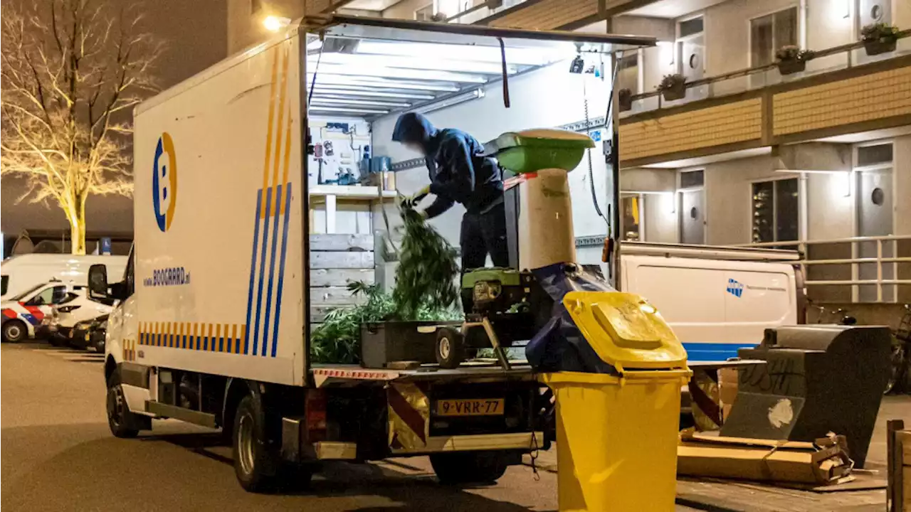 Hennepkwekerij ontdekt in woning Noord: Meer dan honderd planten in beslag genomen