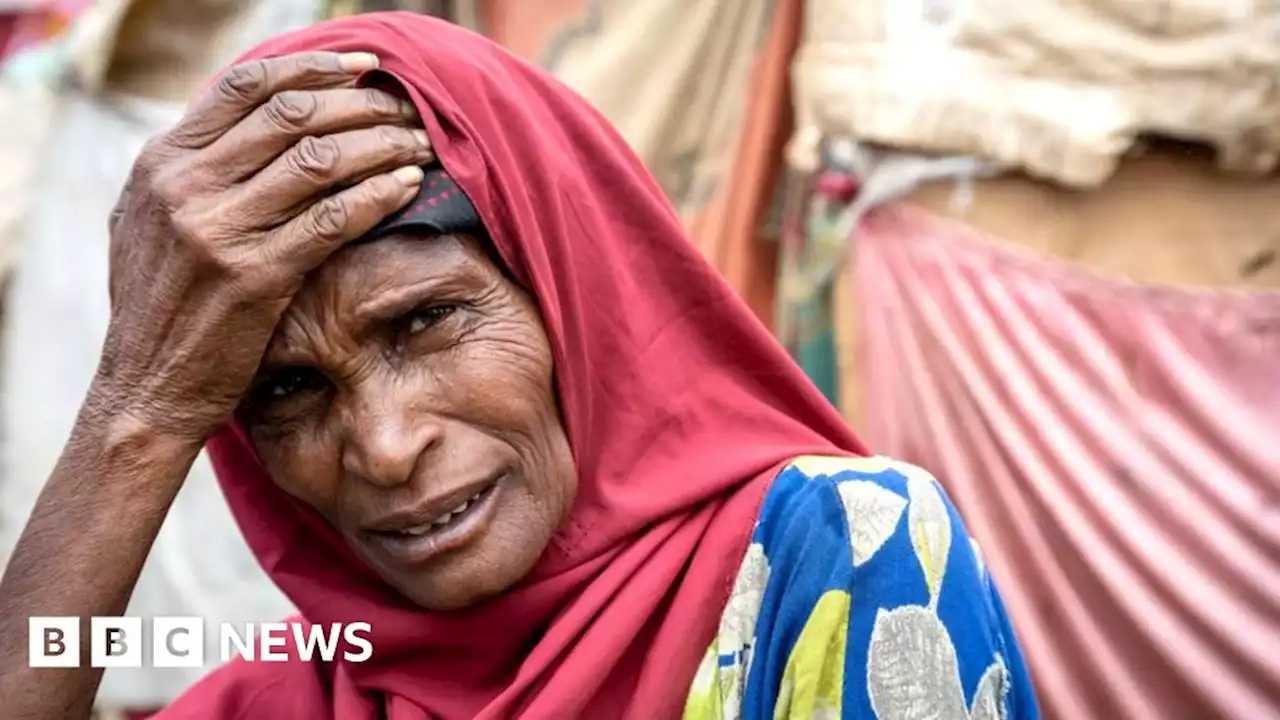 Somalia drought may have killed 43,000 last year - UN