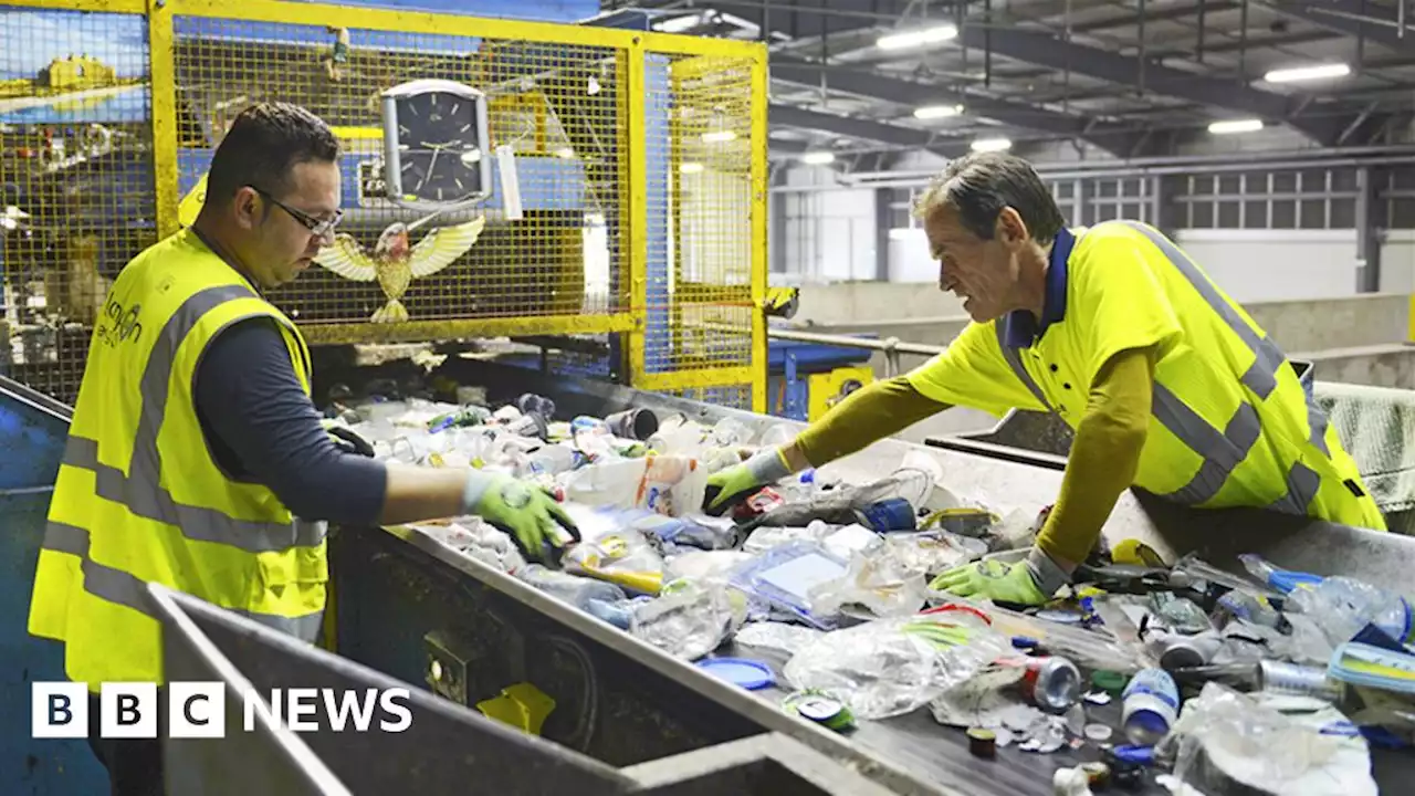 Waste collection changes risk chaos, councils warn