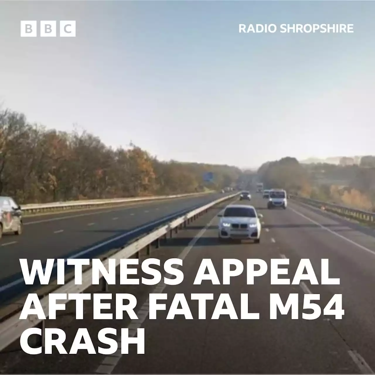 Police appeal as woman dies following M54 crash