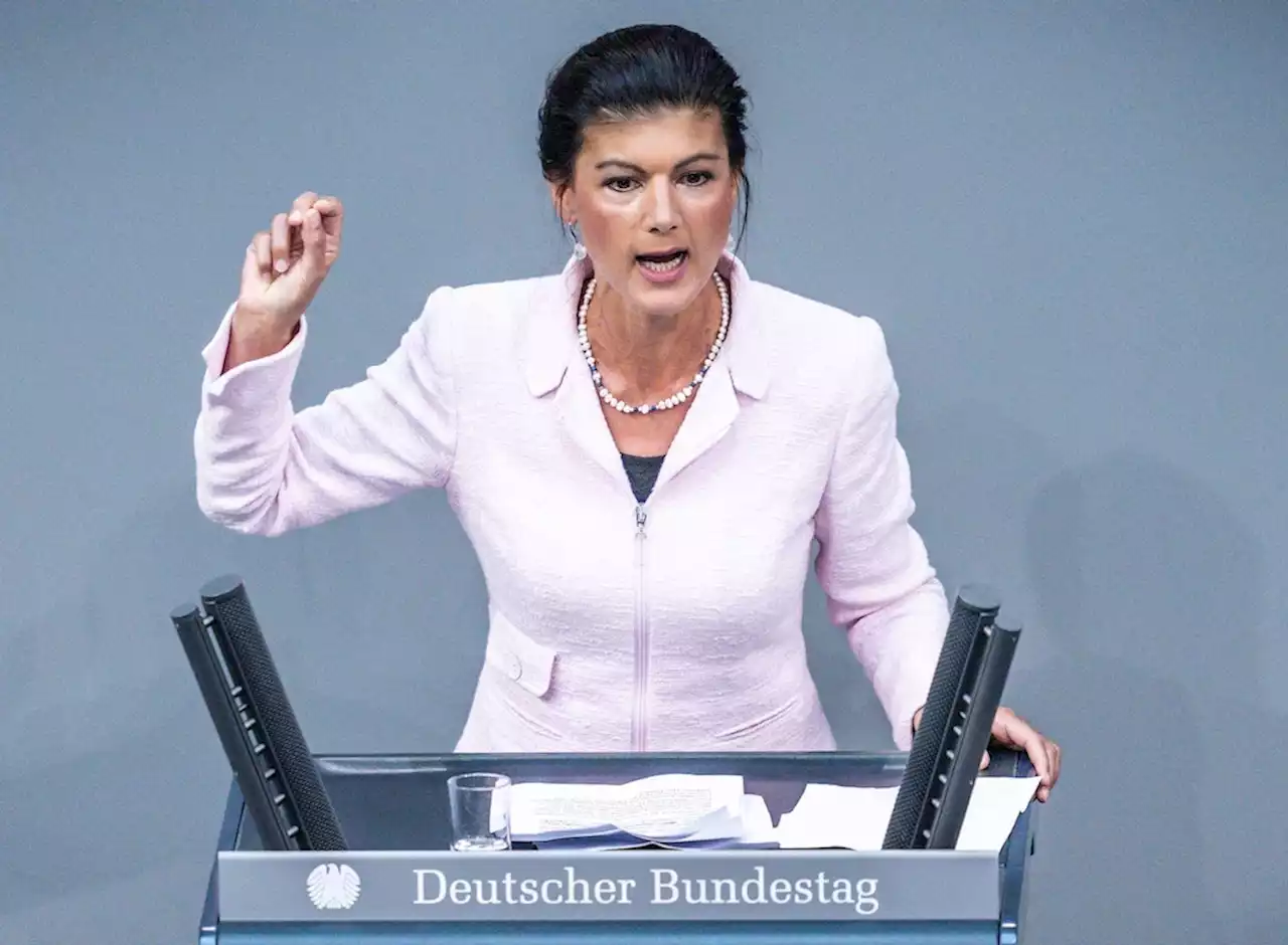 Wagenknecht, Parteigründung, Die Linke, Kritik