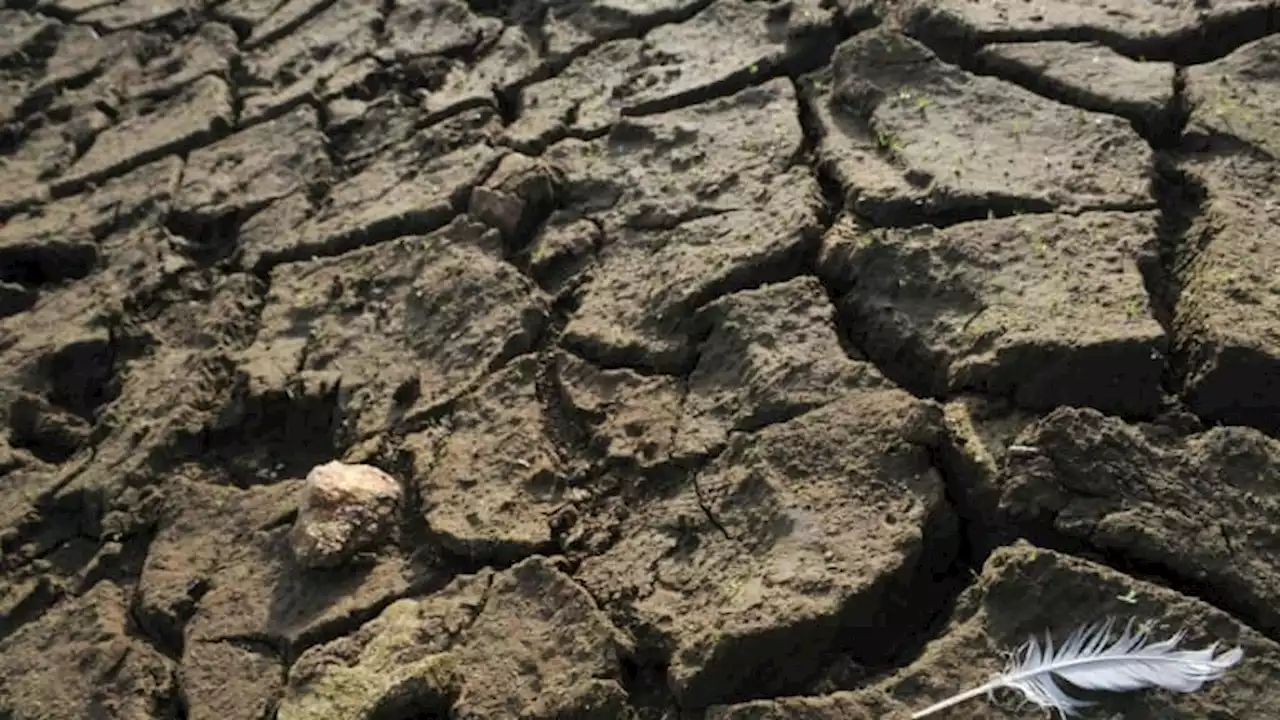 Près de 9 ans plus tard, le Giec publie la synthèse de son 6e rapport sur le changement climatique