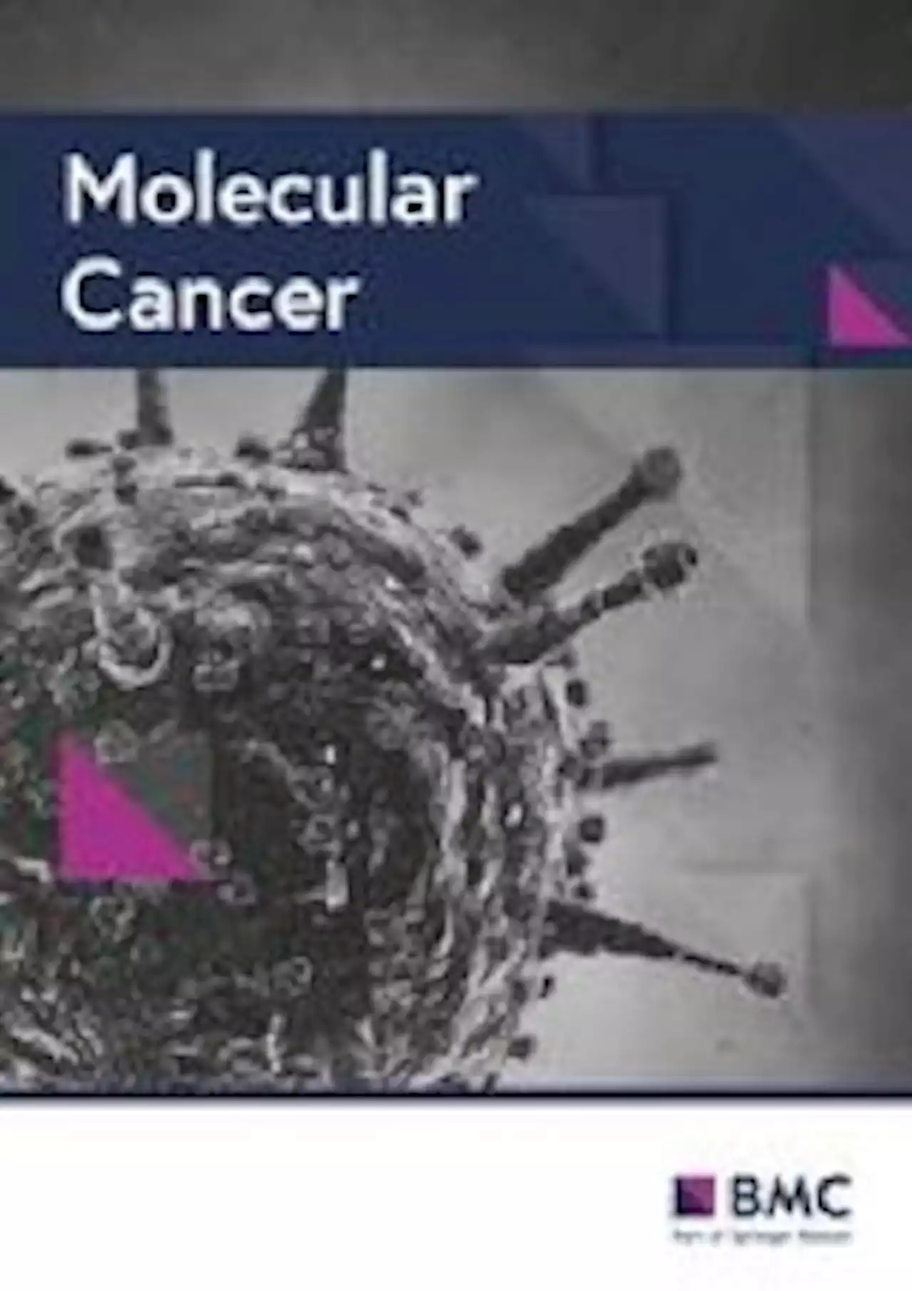 Circulating tumor nucleic acids: biology, release mechanisms, and clinical relevance - Molecular Cancer