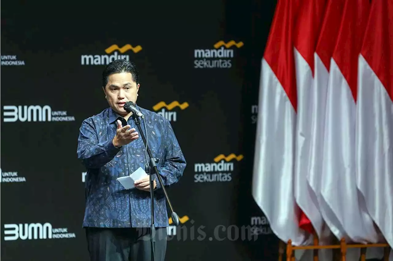 Erick Thohir Siapkan PalmCo IPO di Bursa Kuartal IV/2023