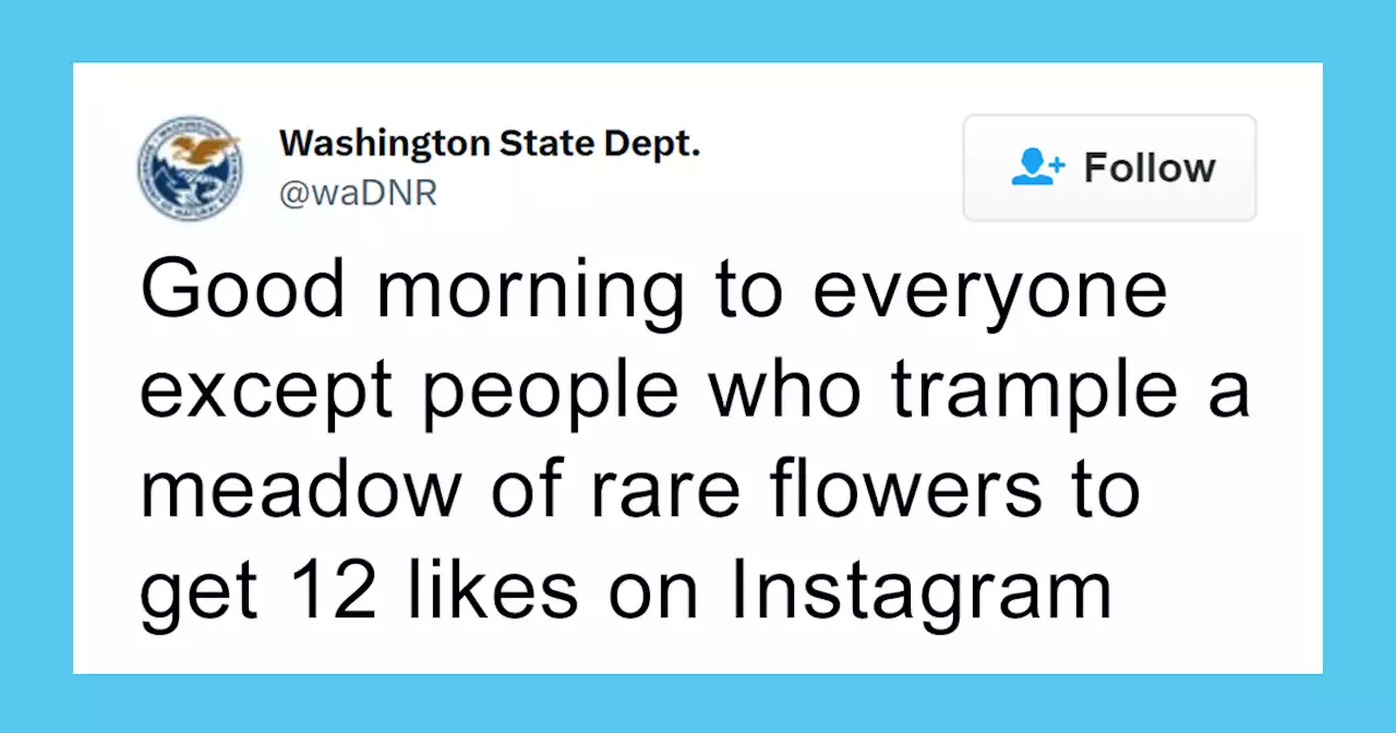 The Washington Department Of Natural Resources Twitter Has People In Stitches With These 41 Tweets