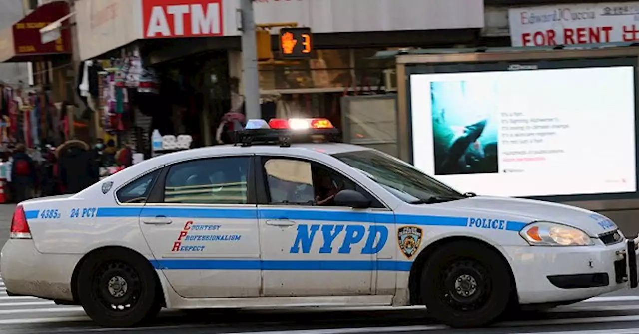 VIDEO: Good Samaritan Holds Armed Man for NYPD Officers