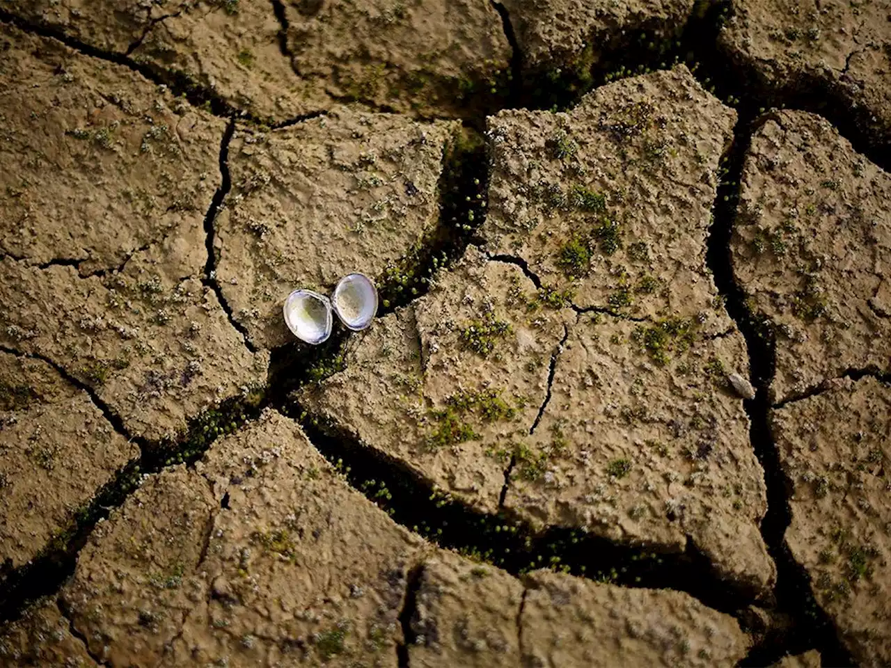 Nations approve key UN science report on climate change