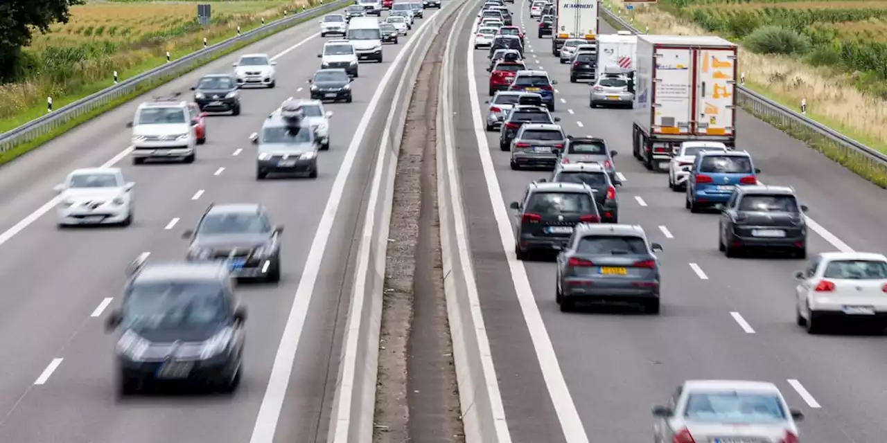 Polizei sucht schwarzen Suzuki: Autofahrer wirft Katze aus fahrendem Auto auf Schnellstraße