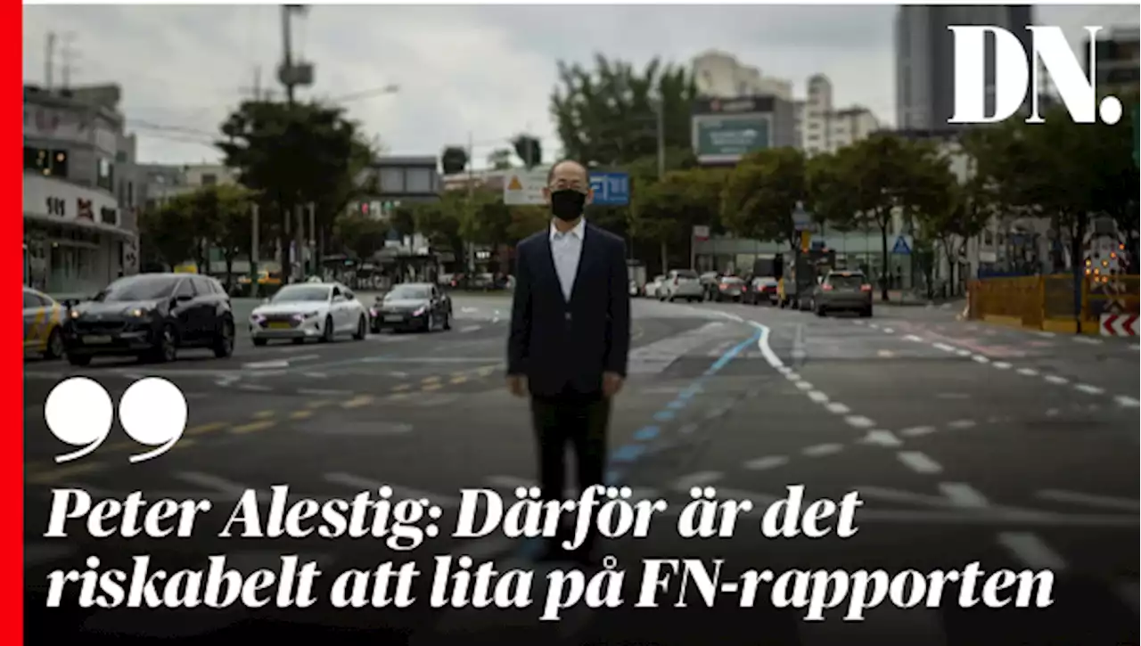 Peter Alestig: Därför är det riskabelt att lita på FN-rapporten