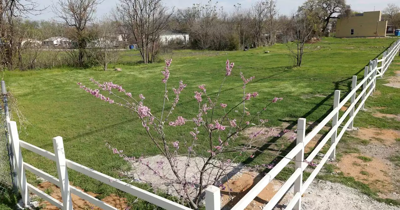 Blight remediation in a South Dallas neighborhood makes residents feel safer