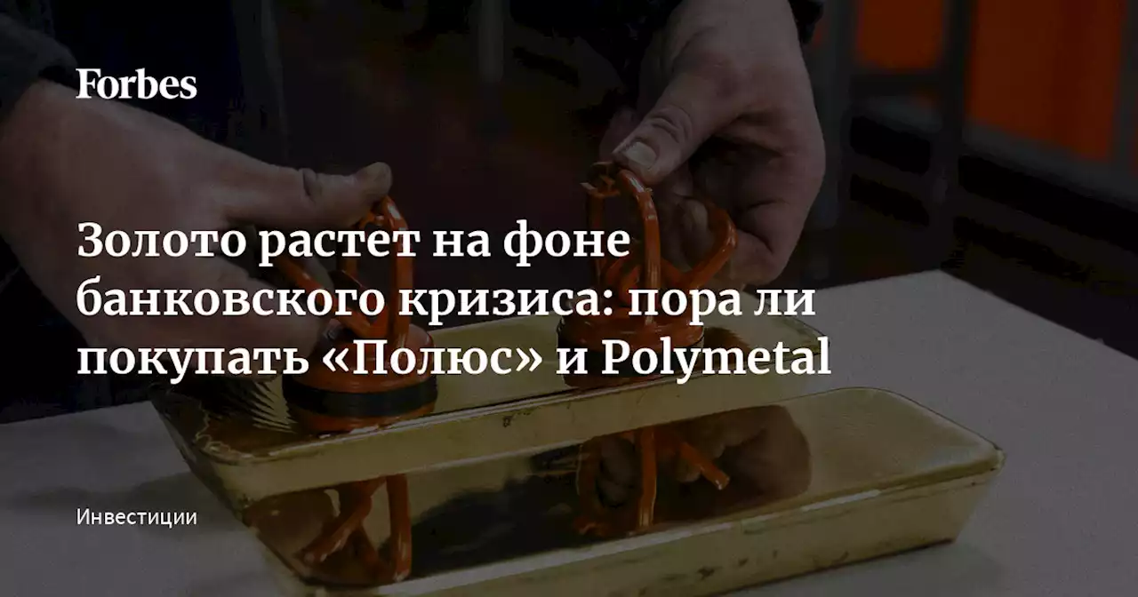 Золото растет на фоне банковского кризиса: пора ли покупать «Полюс» и Polymetal