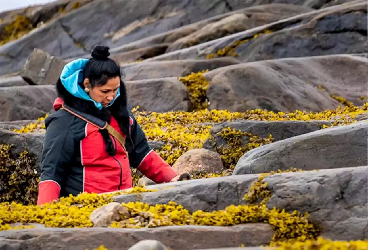 Reclaiming Inuit ingredients sets this body-care company apart – while connecting it to community