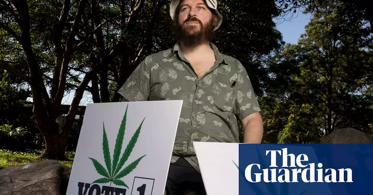 NSW election: Legalise Cannabis eyeing an upper house seat in bid to overturn drug-driving law