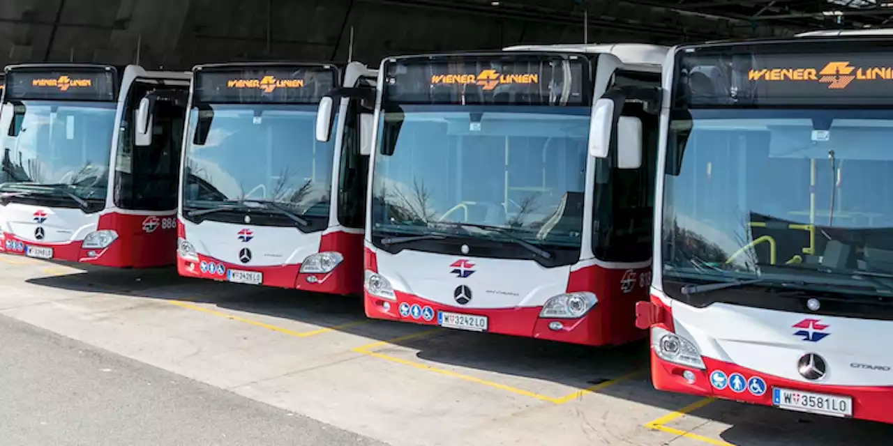 Wiener Linien zahlen jetzt Bus-Bonus für neue Lenker