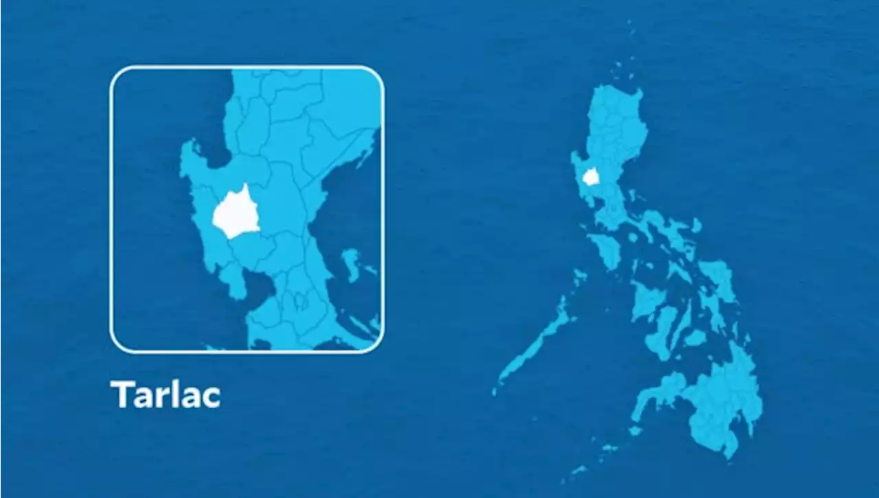 Ex-rebel yields to authorities in Tarlac